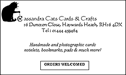 Cassandra Cats Cards & Crafts
