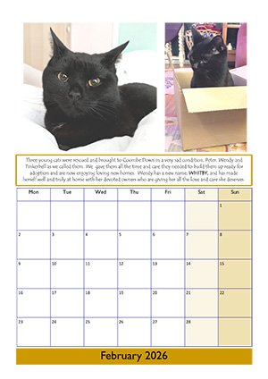 February