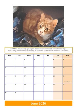 June