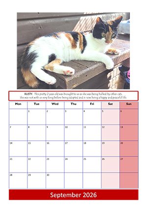 September