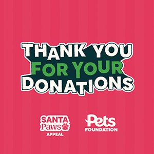 Pets Foundation Christmas Appeal
